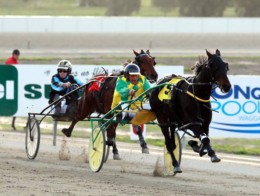 FINISHING OFF STRONG: Streamliner surges away from his rivals in the last of the Regional Championships heats on Friday to hand owner-trainer-driver Brian Smith a place in the group one final. Picture: Les Smith