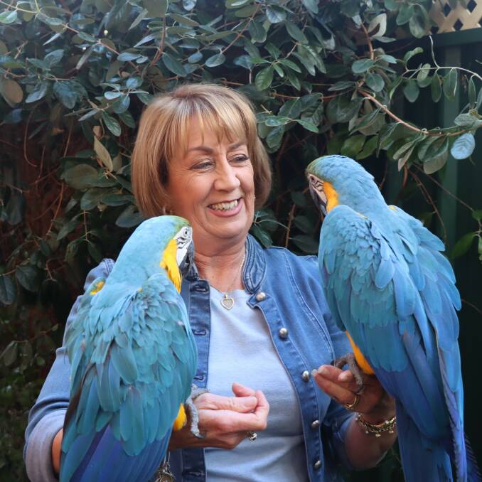 TRANSFORMATION: Wagga parrot trainer Carmen McGill says positive reinforcement training can be life-changing for pets. Picture: Contributed 