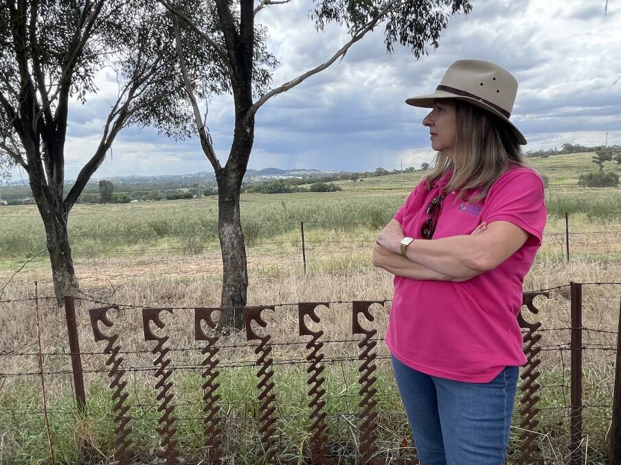 CHANGE OF VIEW: Just metres from where North Wagga resident Maree Crowley is standing in her property is where a solar farm will be constructed, with Boorooma in the distant background. Picture: Taylor Dodge 