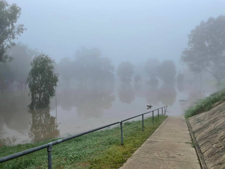 WEATHER PREDICTIONS: According to the BoM Wagga can expected some frosty mornings, with rain likely for the end of the week. Picture: Courtney Rees