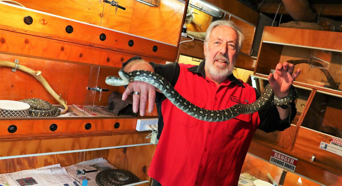 Tony Davis -The Snakeman. Picture: Emma Hillier