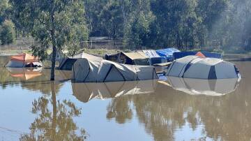 UNDER WATER: Tents and gears caught in the North Wagga campsite Wilks Park floods are a 'low risk' according to Wagga mayor. Picture: Taylor Dodge