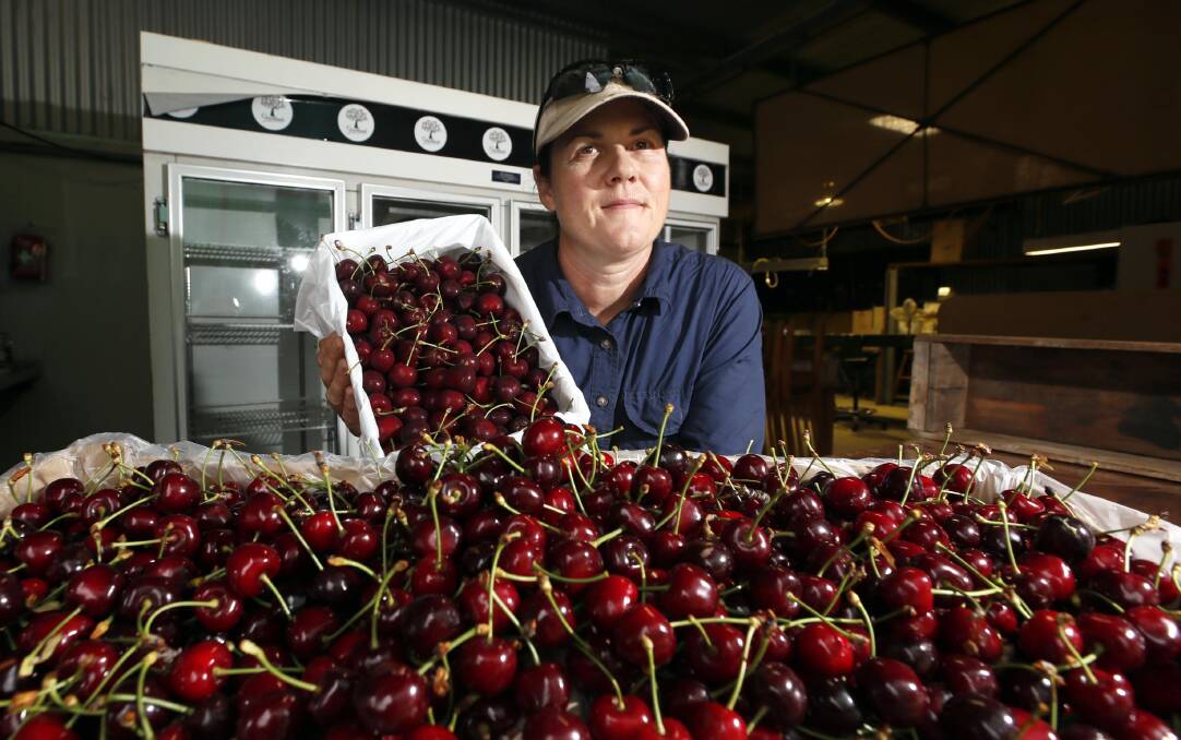POSITIVITY IS KEY: Grovelands Cherries Wagga owner Kristy Barton is hoping local support will get them across the line this year. Picture: Les Smith