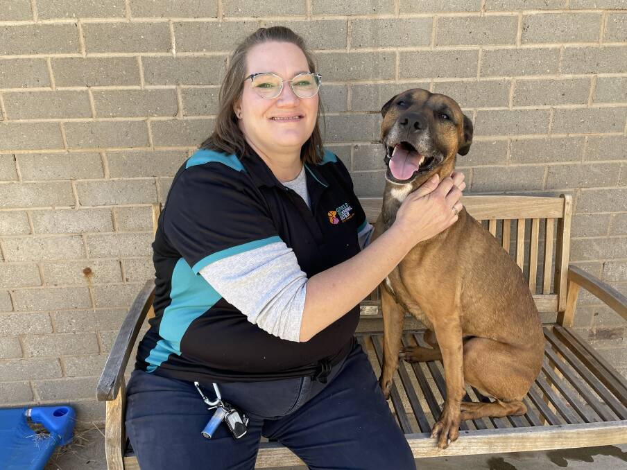 Glenfield Road Animal Shelter animal welfare supervisor Julie McPhail with adoptee Anthea. Picture: Taylor Dodge 