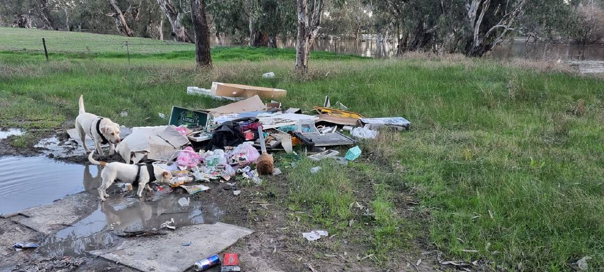 RUBBISH: Illegal dumping at a Riverside Reserve has caused the community upset. Picture: Supplied 