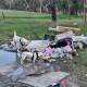 RUBBISH: Illegal dumping at a Riverside Reserve has caused the community upset. Picture: Supplied 