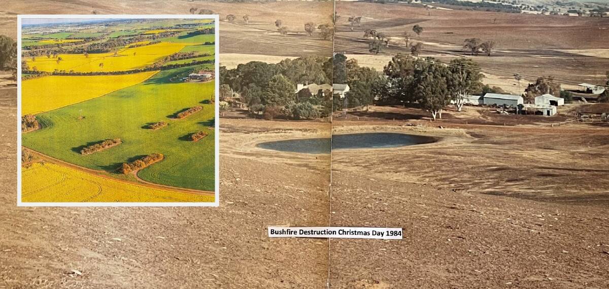 BEFORE AND AFTER: Pam and Rick Martin of Borambola spent 30 years resurrecting the burnt land surrounding the proposed Mates Gully solar farm site after bushfires saw it burnt to ashes. Picture: Contributed