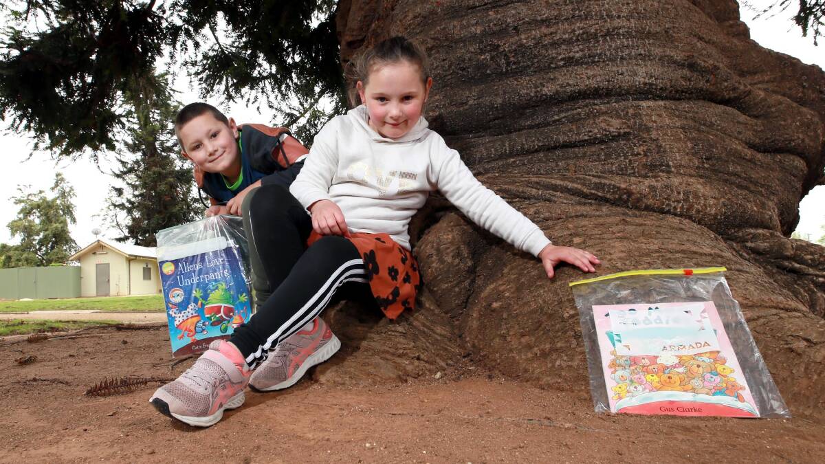 ON THE HUNT: Hayden Eversm 7, with his sister Grace Evers, 5, look around Collins Parks for books. Picture: Les Smith 