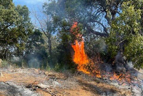 Rural Fire Service and FRNSW crews prepare for a hazard reduction burn at Rocky Hill. Picture: FRNSW 