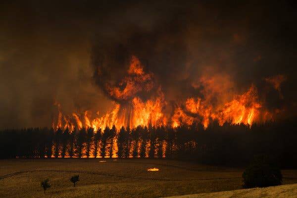 WALL OF FLAMES: Some 1200 volunteers from the region dedicated a combined effort of more than 14,000 hours in fighting the fire. Picture: NSW Rural Fire Service 