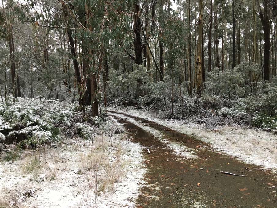 WINTER IS COMING: Snow fall in the region in 2019. Picture: Cor Smit via Visit Snowy Valleys. 