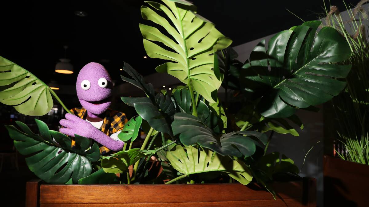 Australia's favourite purple puppet comedian returns to Wagga