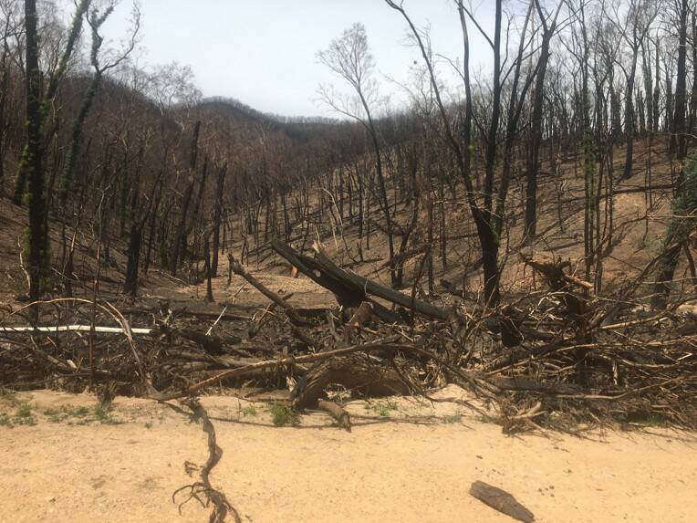 A shot of Yellowin Road after the 2019/2020 fires. Picture: Forestry Corporation of NSW 