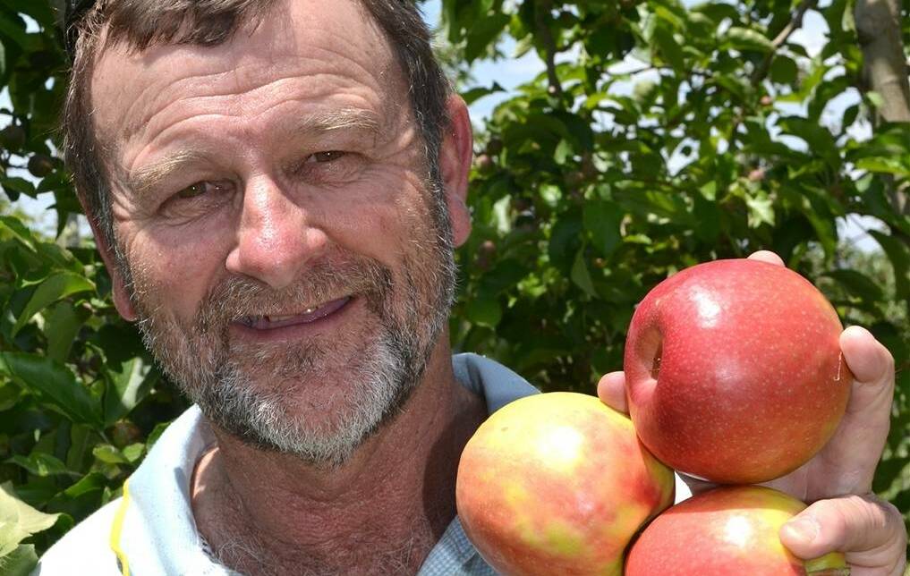  Greg Mouat is an orchardist from Batlow in southern NSW. Picture: File Shot 