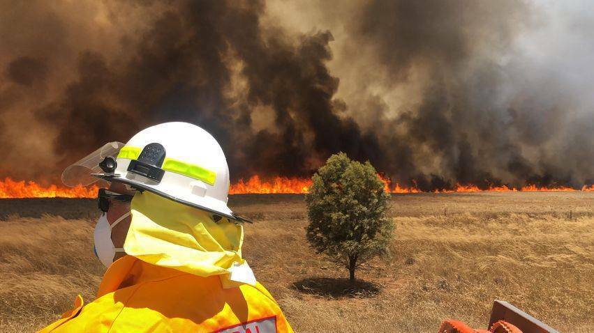  Riverina RFS work to control a blaze out at Cowabbie in December last year. Picture: NSW RFS
