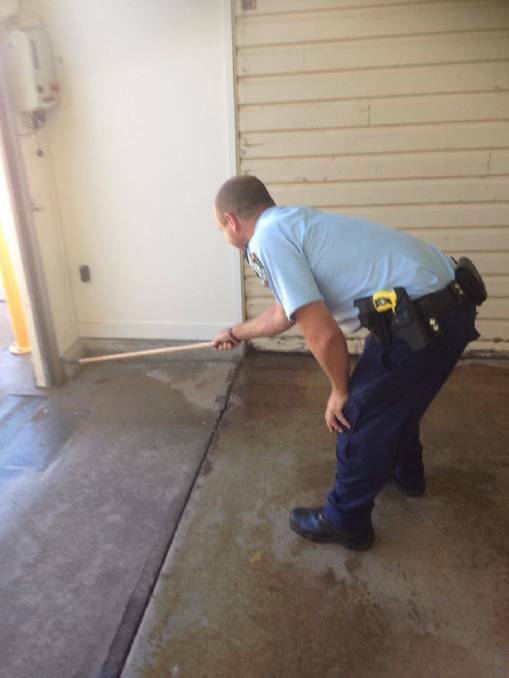 GOTCHA!: A police officer attempts to corral a baby brown snake.
