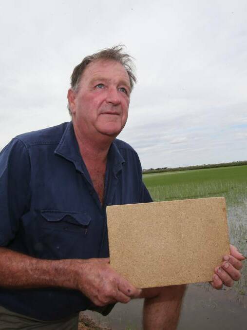FARMING BETTER: John Gorman is set to earn farmers an extra dollar by turning rice stubble into panel-board. 