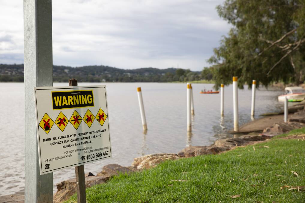 BEWARE: Water quality at Lake Albert is again under scrutiny after a blue-green algae bloom was detected over the weekend. Picture: Madeline Begley