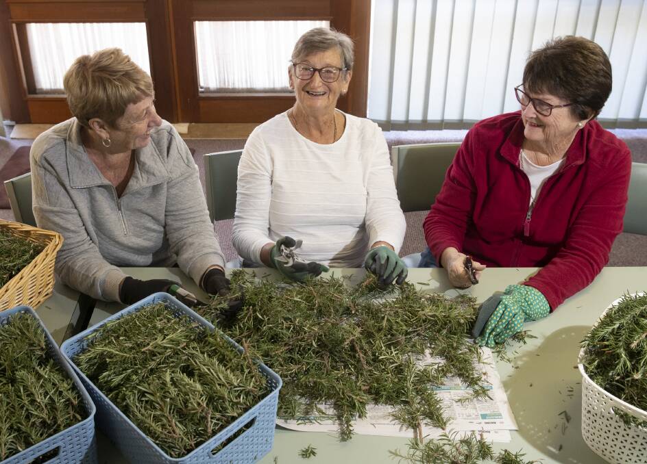 SYMBOL OF REMEMBRANCE: Carol Rokay, Robin Jacob and Catherine Lancaster, whose husbands all served in Vietnam, cut rosemary for distribution at today's Anzac Day services. Picture: Madeline Begley