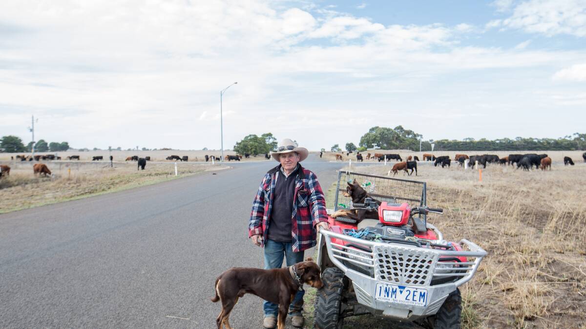 Cattle owner left $50,000 out of pocket due to government red tape