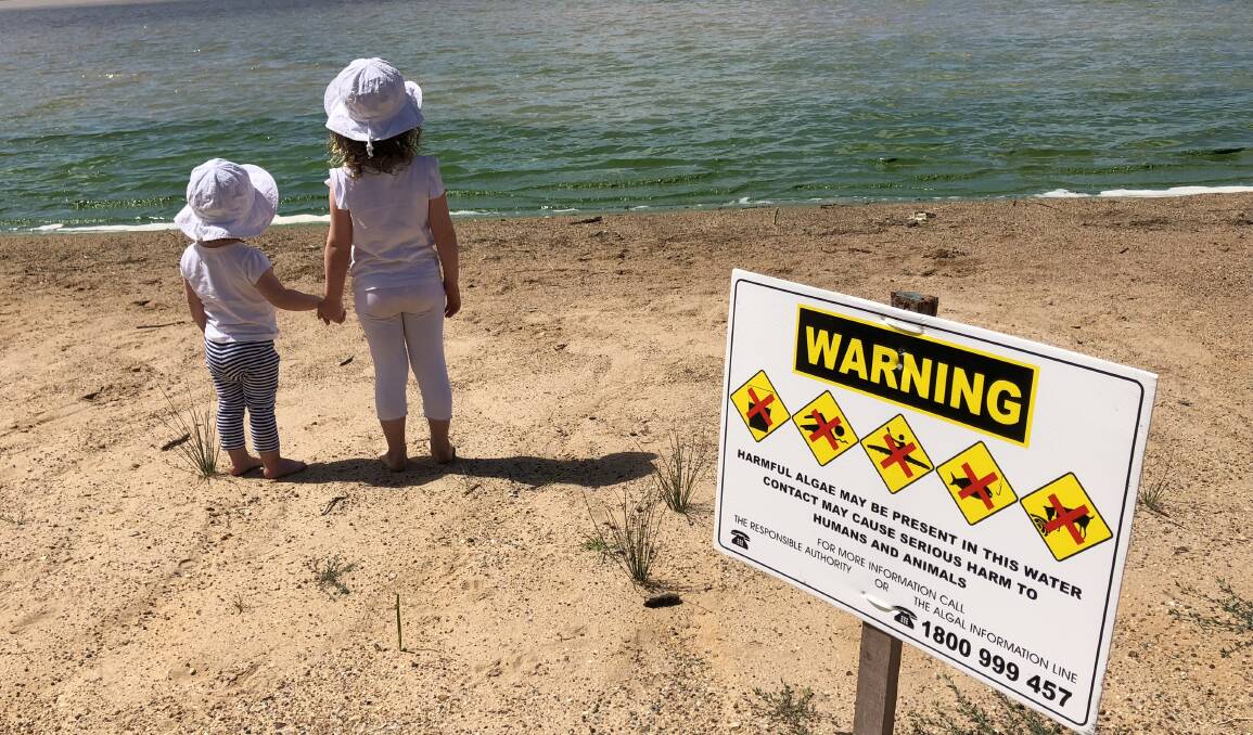 STUDY: Wagga's Lake Albert has been closed due to blue-green algae all year. A new study has linked the algae to toxins and brain disease.