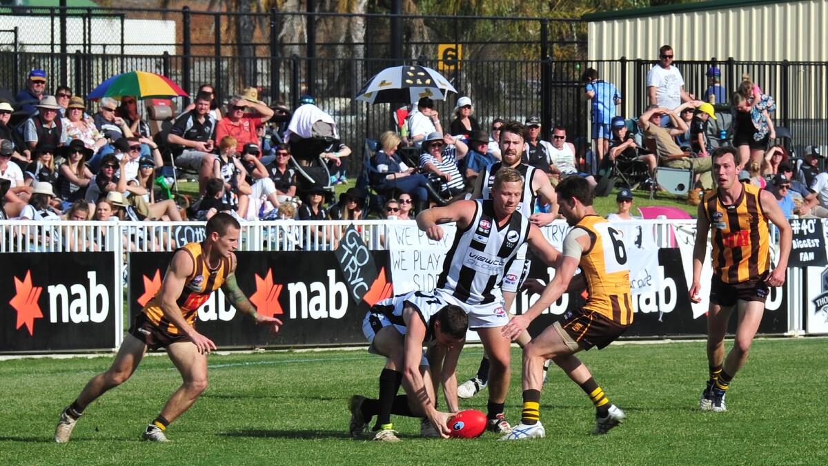 Ridley attempts to pick up the ball with the 'Pies under siege.
