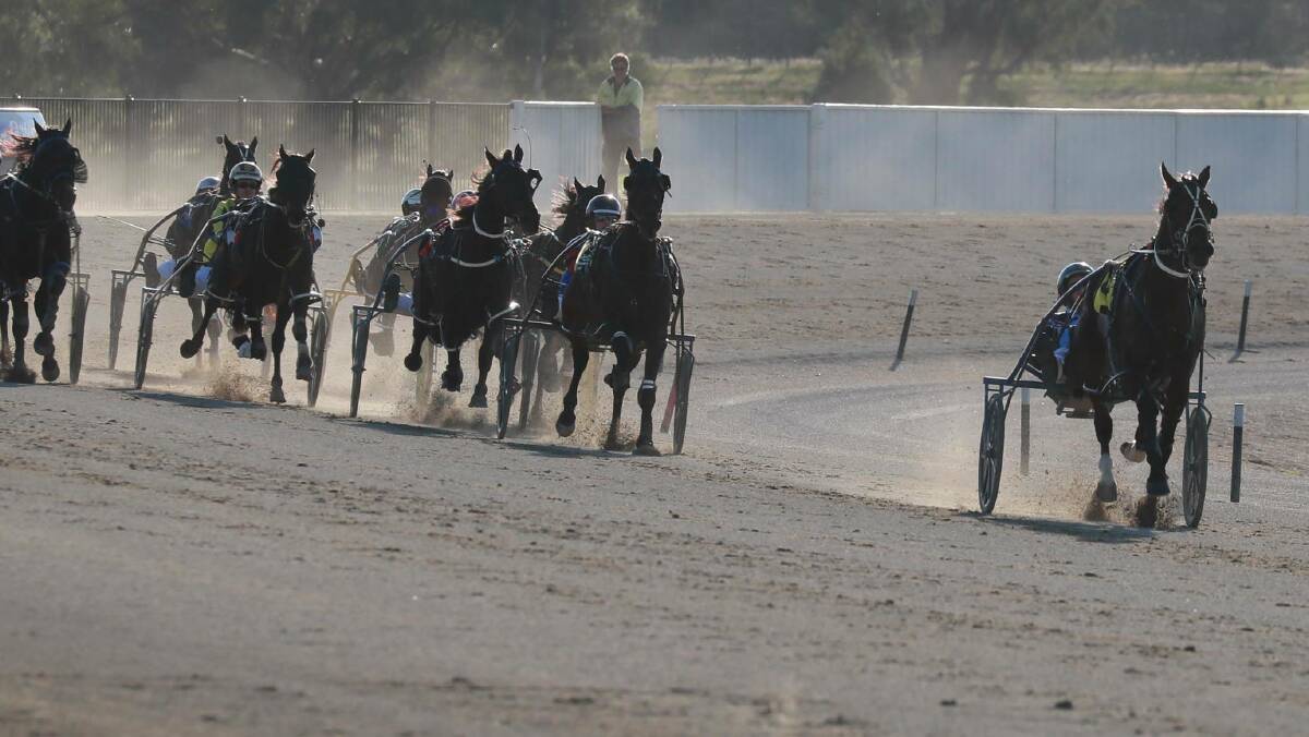 A dominant victory in the 2020 West Wyalong Cup (run at Wagga) for trainer David Kennedy and driver Jackson Painting was one of seven wins in that year for Whereyabinboppin.