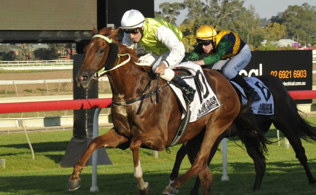 HOT PROSPECT: The Gary Colvin-trained Sizzling Cat is one of two Wagga horses hoping to be right in the finish of the Highway Handicap at Rosehill. Picture: Matt Malone, of Sizzling Cat winning at Wagga earlier this year for jockey Adrian Layt.