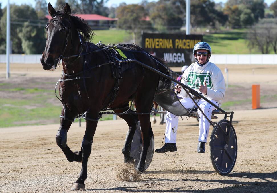 IN FORM: Jackson Painting after steering Lena's Art to victory at Riverina Paceway earlier this year.