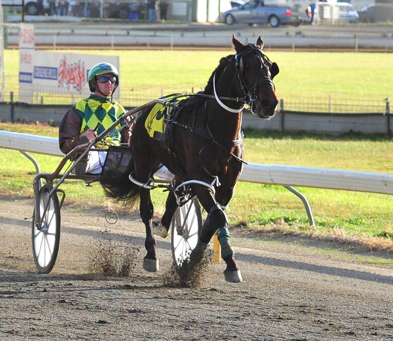 ANOTHER CUP BID: Brad Hewitt and Spare Me Days are chasing an incredible fourth straight win in the Young Cup on Saturday night. 