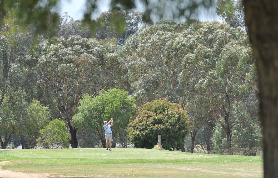 Max Horsnell isn't getting his hopes up yet but admits it would be something special if he was to be crowned Wagga City Golf Club Champion this weekend. 