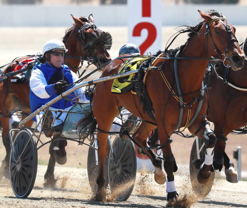 Coolamon's Len Clement (driving Auckland Star at Wagga on Friday) was thrilled after his mare Nunya finally broke her maiden in the opening race. Picture: Les Smith