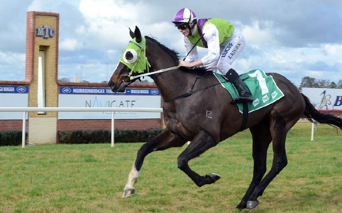 SUCCESS: The Joe Cleary-trained Choccy Gaf, ridden by John Kissick, won at Wagga in June. It was the only runner he brought to the races at the MTC and saluted at 30-1. The stable has had two wins from five runners this month. 