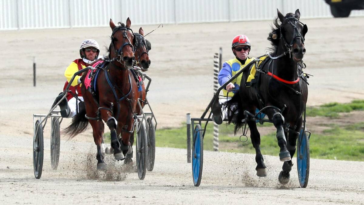 Neil Day's Dance Away (right) skips away on Playa Blanca (left) at the Riverina Paceway on July 3. 