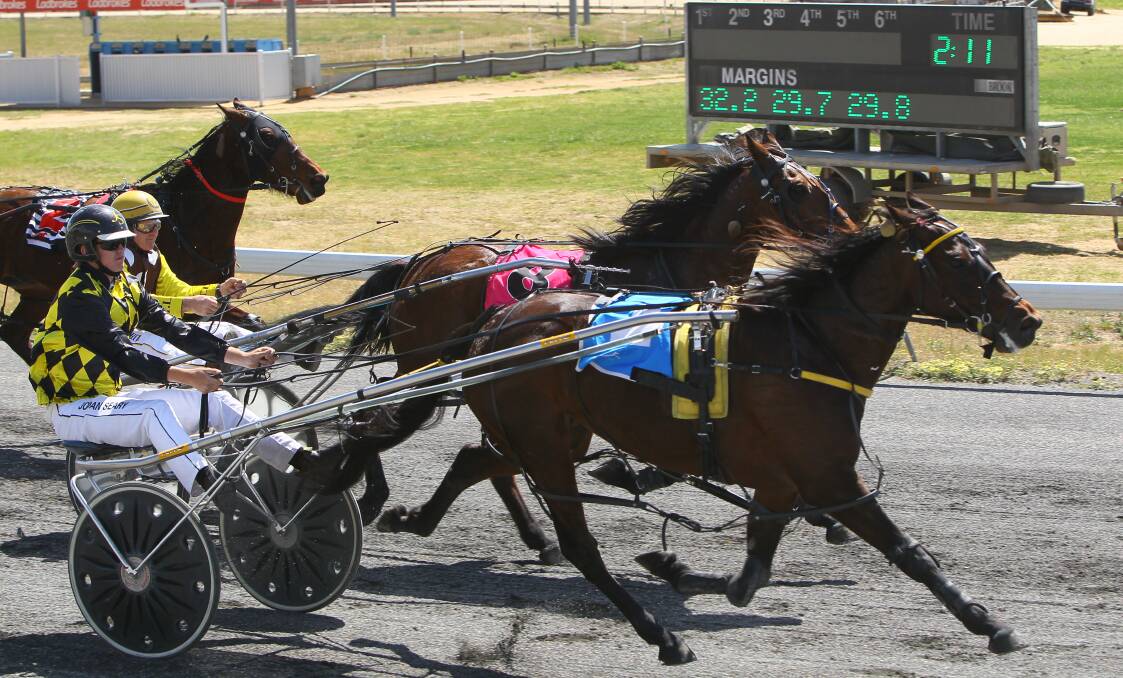 BOILOVER: Driver Jordan Seary steers Albury pacer Sophie Stening to victory ahead of Trevor White's gelding, Trevor, at Wagga on Friday afternoon. Picture: Peter Doherty