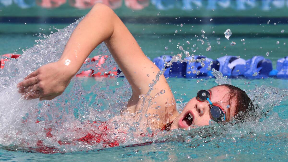 HONOURS: Senior girls champion, Mia Huggett, in her freestyle event at Turvey Park Public School's swimming carnival on Thursday. Picture: Les Smith