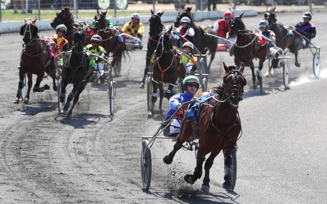 HOT PACE: Trainer Brad Hewitt steers Goulburn pacer Harry Day into the straight on the way to victory in record-equalling time at Wagga. Picture: Les Smith