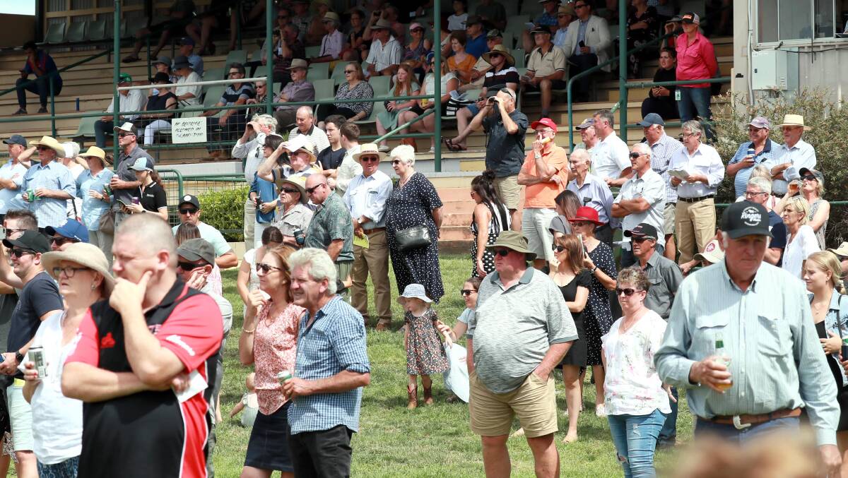 GOOD DAY OUT: A solid crowd enjoys the day's racing at Gundagai.
