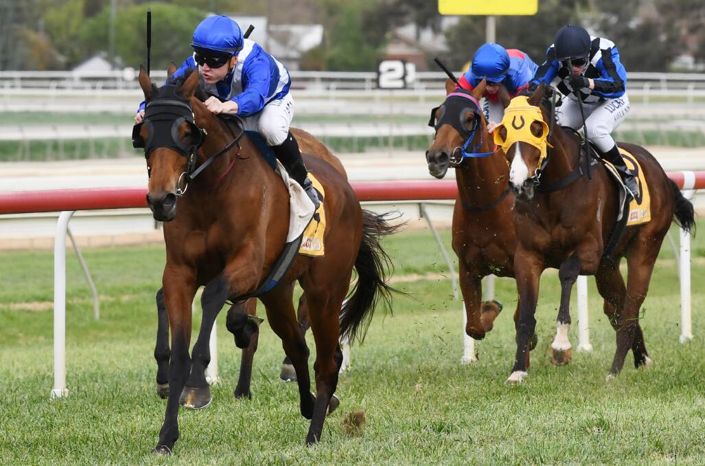 FAVOURITE SALUTES: Sepulchre, under jockey Brodie Loy, was a popular winner in 2019. It was the Kembla Grange galloper's second win at start 13.