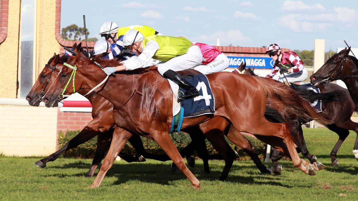 JUST IN TIME: The photo tells the story of a heart-stopping finish as jockey Nick Heywood
guides Another One (outside) to victory in the final strides of last year's SDRA Country Championships. Picture: Les Smith