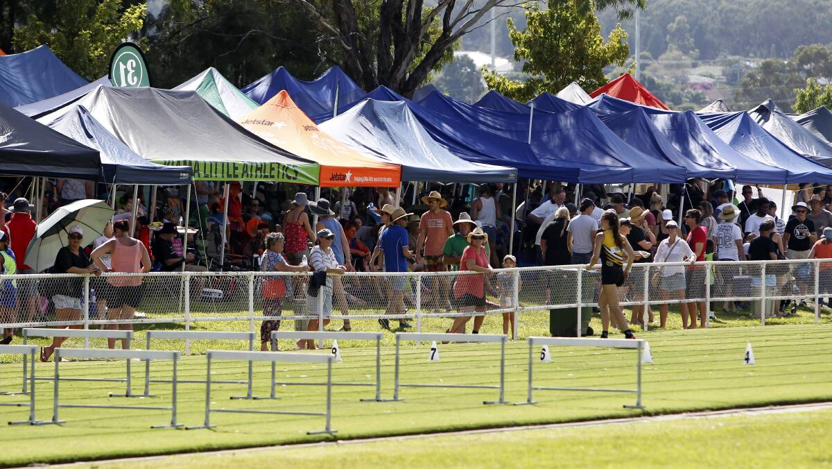 Wagga's Jubilee Park will host the NSW State Multi Event Championships in March. Twelve months ago, it was the venue for the Region 4 little athletics championships. Picture: Les Smith