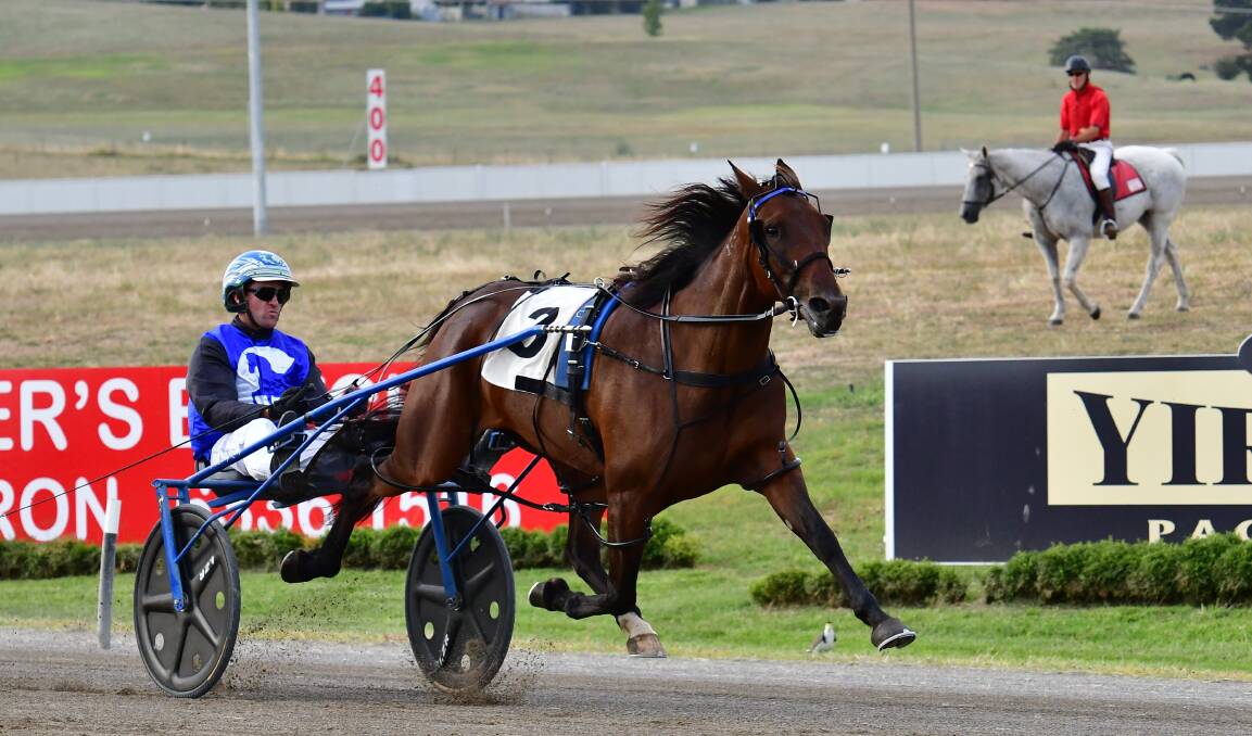 WINNING FORM: Luke McCarthy and Island Banner claim victory in the Best of the Bush heat at Bathurst last week ahead of Sunday's final at the new Riverina Paceway. Picture: Alexander Grant, Western Advocate