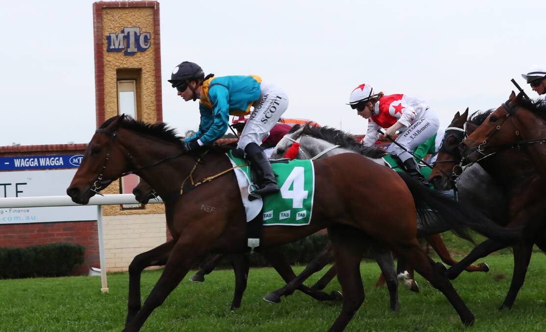 SCOTT'S HOPE: Albury galloper Oamanikka winning at Wagga back in the spring under Danielle Scott. He's one of four runners for trainer Donna Scott but has drawn gate 14. Blaike McDougall has the ride this week. Picture: Emma Hillier