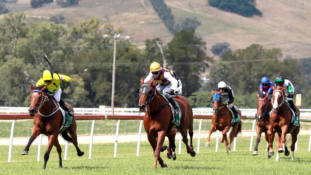 CLOSE ONE: In her last race, Fashion Tip (left) and Blaike McDougall just hold out Imitation Game and Kayla Nisbet in the Adelong Cup at Gundagai on Friday.
Pictures: Les Smith