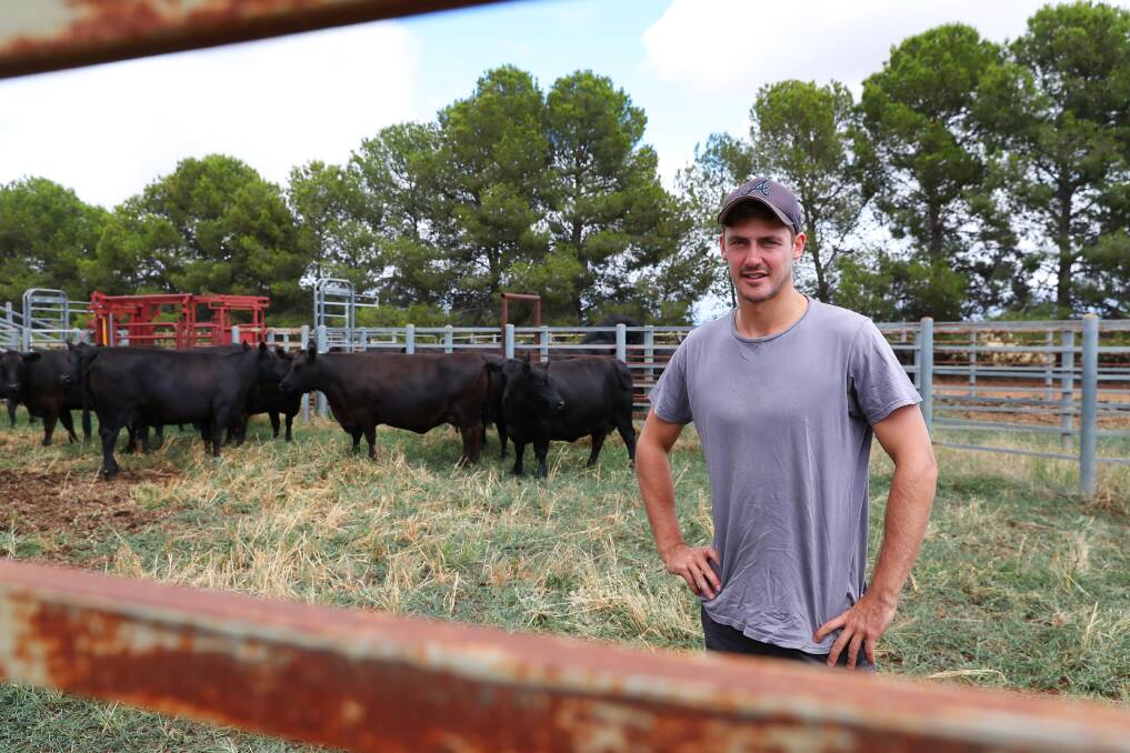 TIME TO REFLECT: Greater Western Sydney's Harry Perryman back home on the family farm this week, near Collingullie.