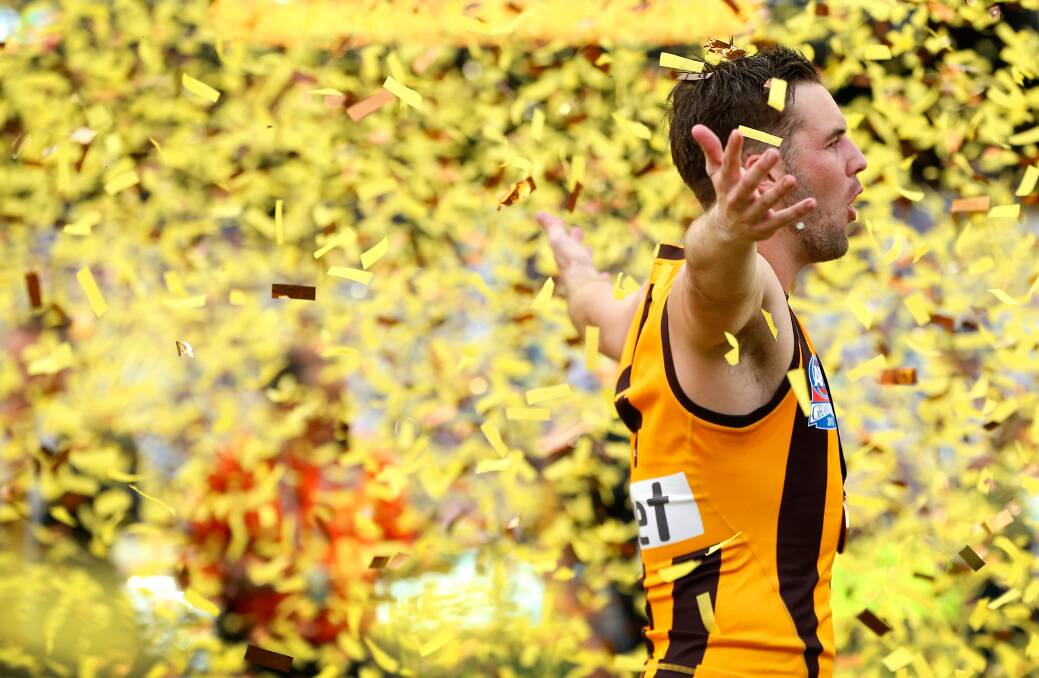 A GLORIOUS RIDE: Matt Suckling, soaking up success after the 2015 grand final, has retired from the AFL after a 178-game career at Hawthorn and the Western Bulldogs. Picture: Getty Images