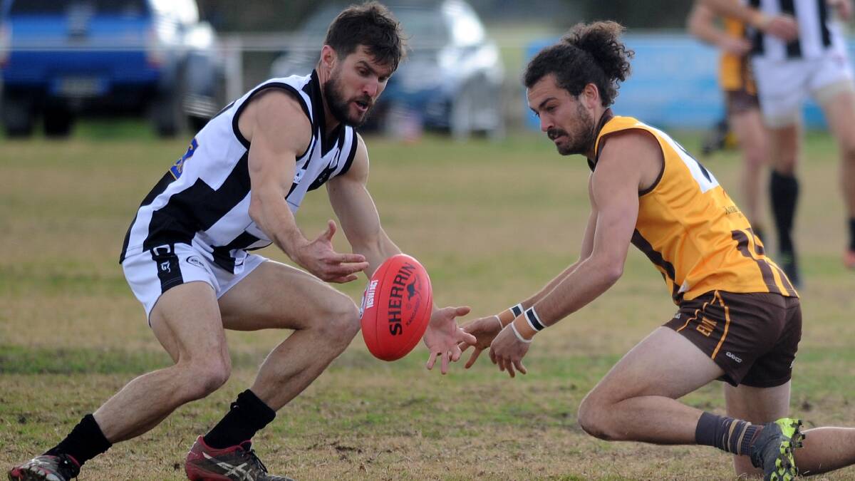 Brocke Argus (right) kicked four goals for the Hawks, while Pies coach Tom Yates was among their best again.