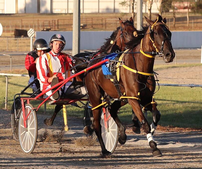 ANOTHER VISIT: Cameron Maggs winning at Junee last January with Imapest. The Euroa trainer has strong hopes at Temora on Saturday. Picture: Les Smith