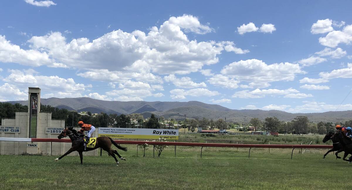 BIG DAY: Apprentice Belinda Wright is comfortably home on the first of her winners at Tumut's traditional Boxing Day meeting, aboard Centennial Prince for Gundagai trainer Andrew Sheahan. Picture: Peter Doherty