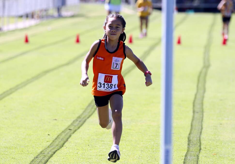 RECORD RUN: Narrandera's Kaia Park sets a new mark in the 7yrs girls 50m sprint at the Kooringal-Wagga Little Athletics carnival. Picture: Les Smith